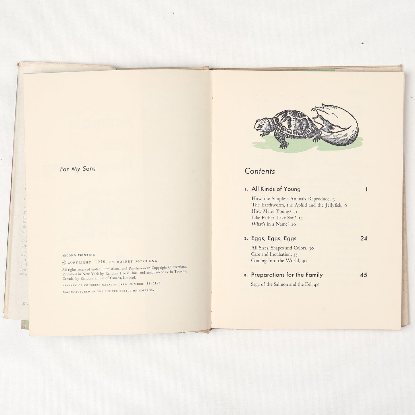 Vintage 1958 Book All About Animals and Their Young
